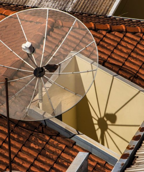 shutterstock_2465353517